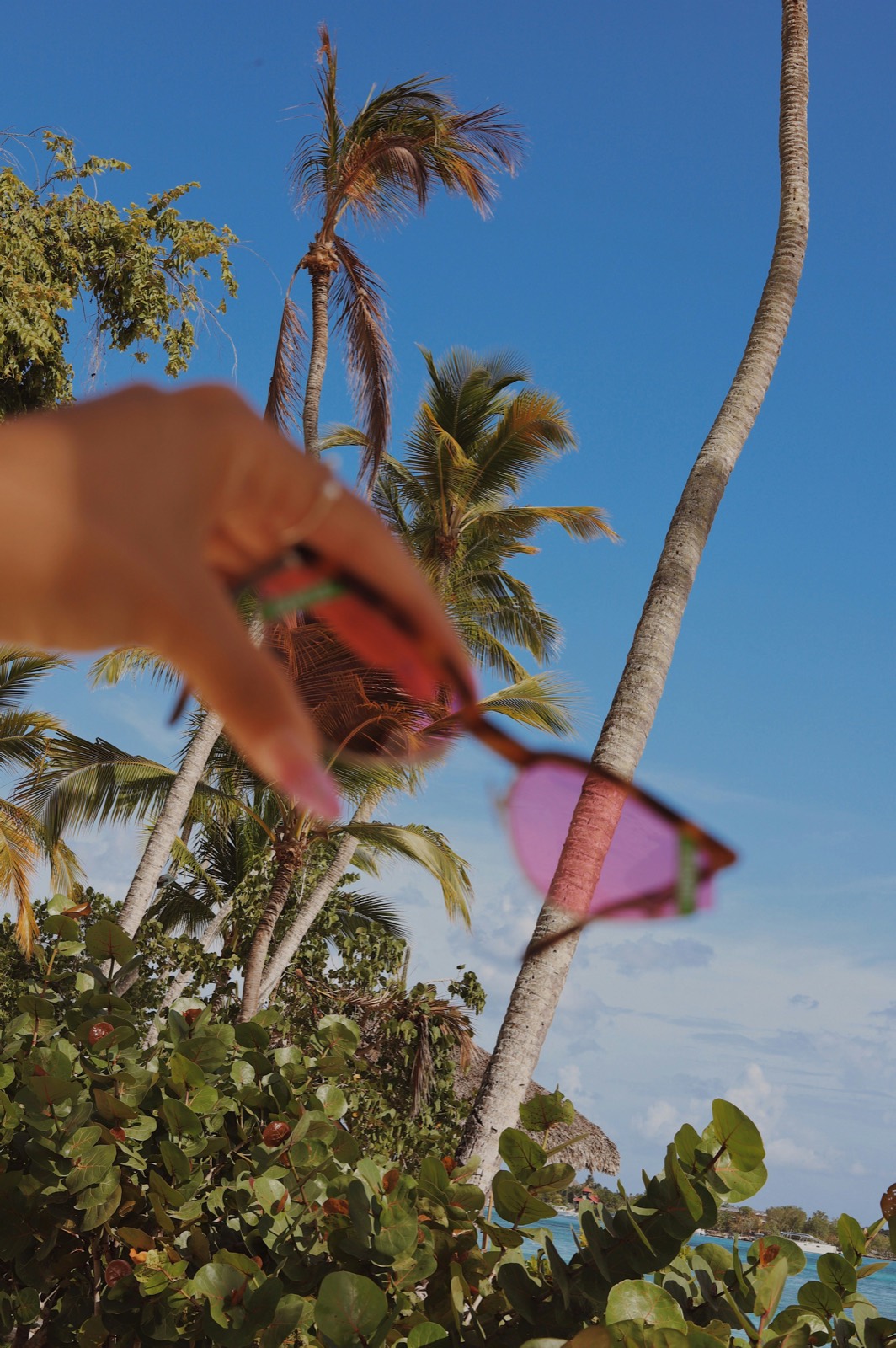 Hand holding sunglasses against palm trees